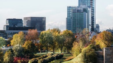 why-cities-need-more-green-spaces