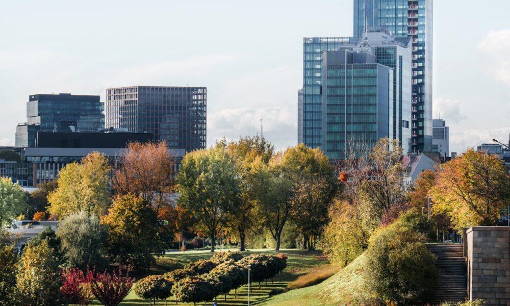 why-cities-need-more-green-spaces